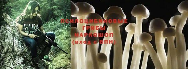дживик Арсеньев