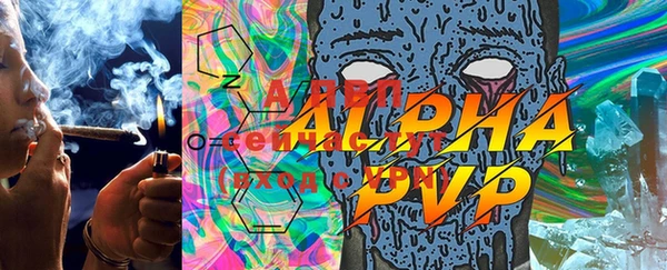 дживик Арсеньев