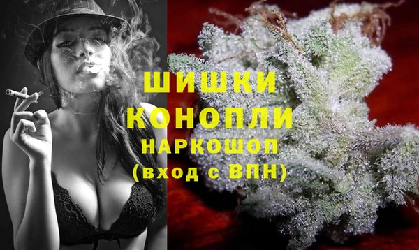 дмт Аркадак