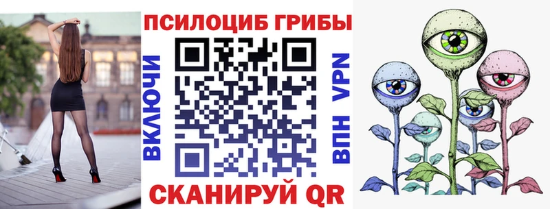 OMG   купить наркотики сайты  Порхов  darknet официальный сайт  Галлюциногенные грибы мицелий 